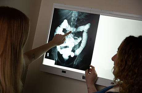  students inspect x-ray 
